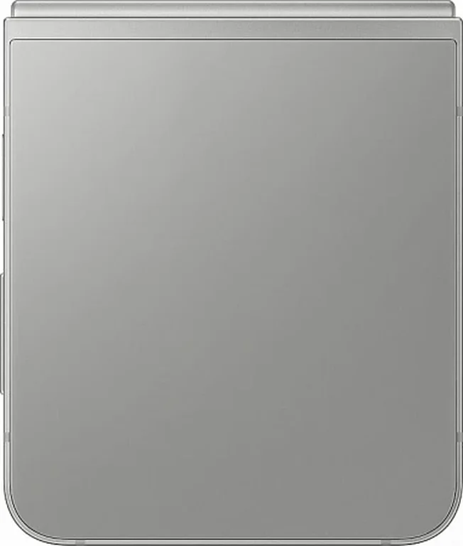 Смартфон Samsung Galaxy Z Flip6 12/256GB (Серый, 12 ГБ, 256 ГБ)