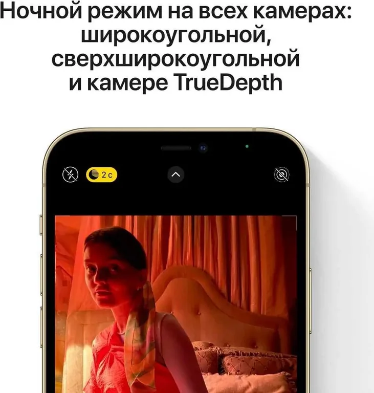Смартфон Apple iPhone 12 Pro Max 128Gb "Как новый",A2411,графитовый