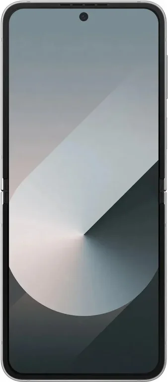 Смартфон Samsung Galaxy Z Flip 6 5G 12/256Gb (SM-F741BZSGCAU) Gr