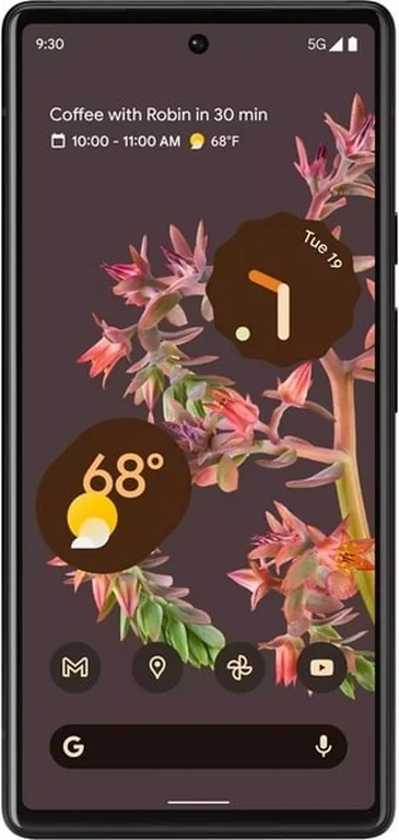 Смартфон Pixel 6 8/128GB Stormy Black
