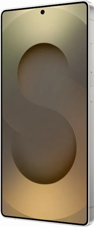 Смартфон Samsung Galaxy S25 Ultra 12/256GB (Snapdragon 8 Elite) серый титан EAC
